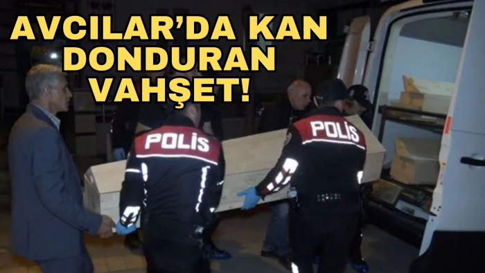 AVCILAR'DA KAN DONDURAN VAHŞET!